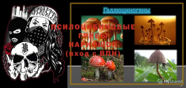 кокс Абаза